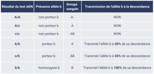 GS Chat tableau