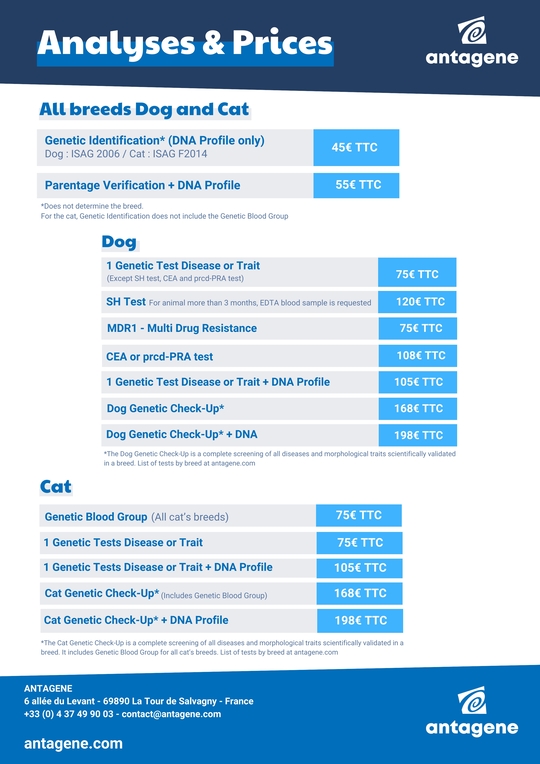 Analyses & Prices_EN