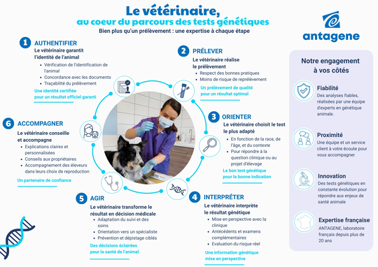 rôle du vétérinaire