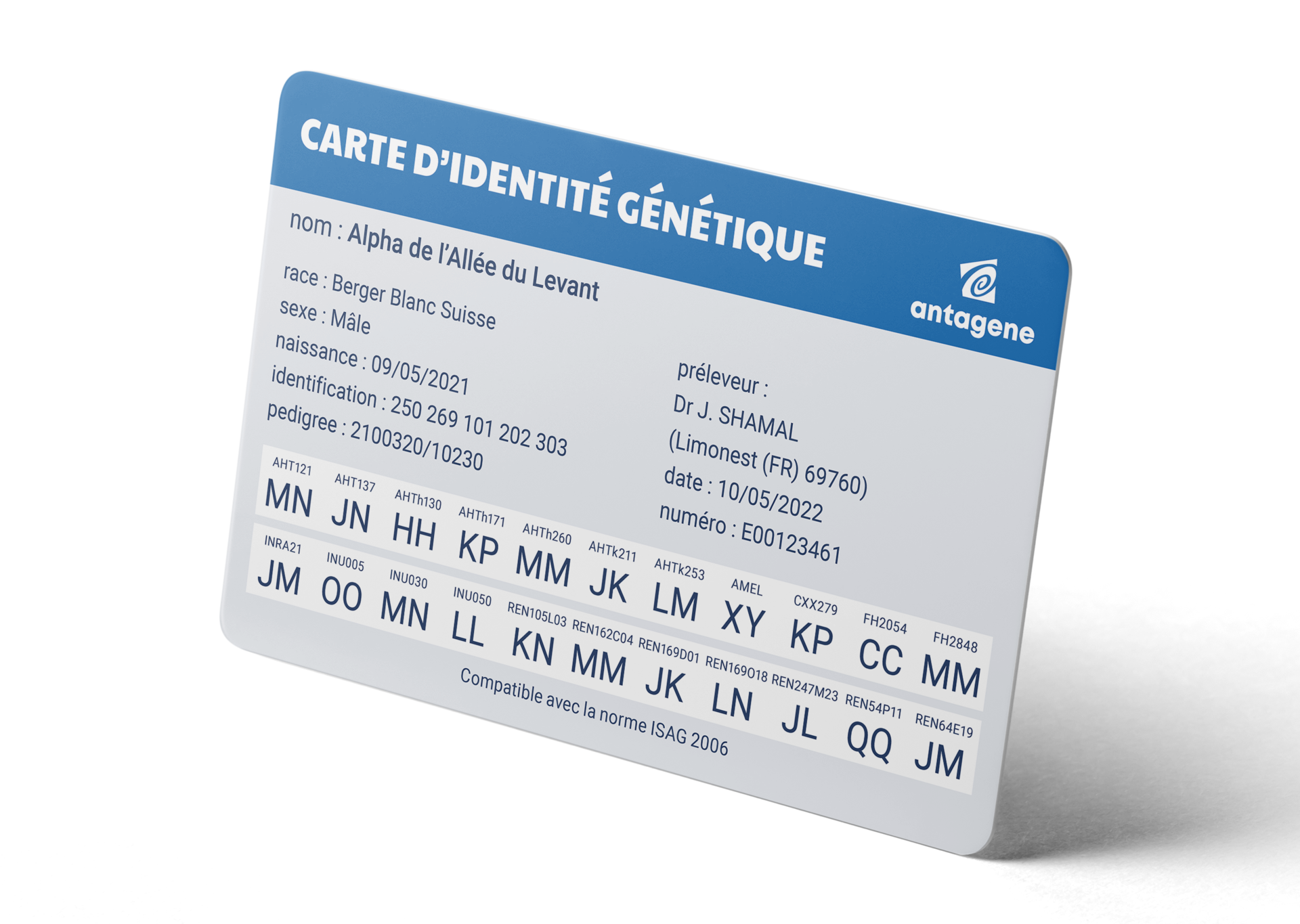 Carte ID Chien