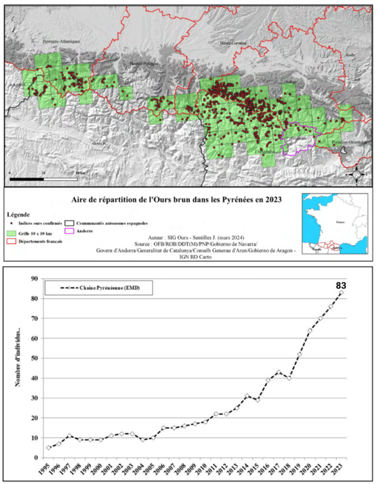 Localisation et effectif population ours 2023