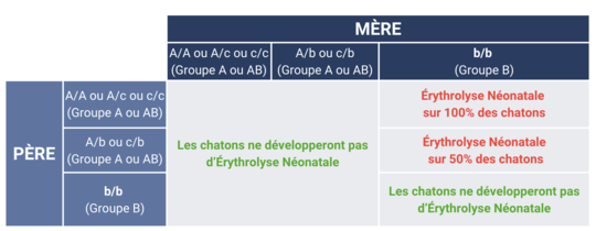 GS Chat tableau accouplements