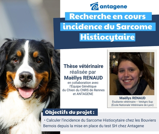 Recherche SH
