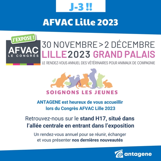 Afvac Lille