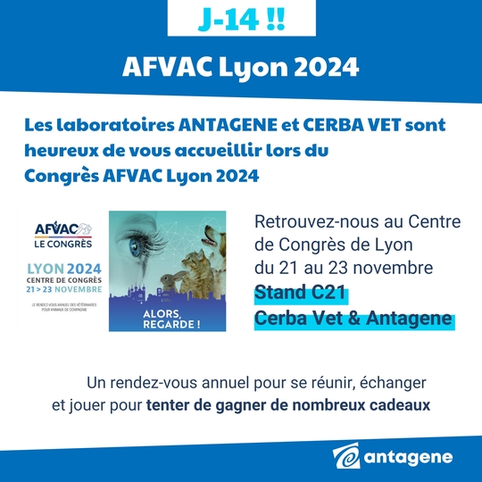 Congrès AFVAC Lyon 2024