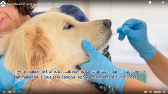 Tuto frottis buccal