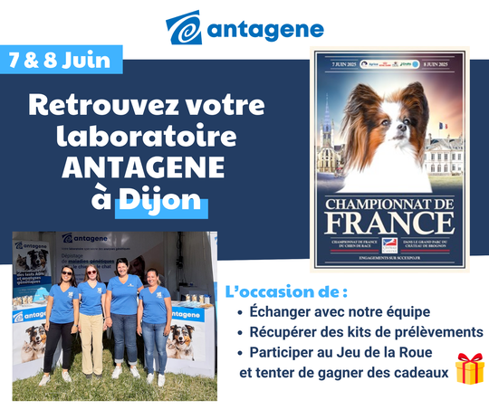 Championnat de France 2025